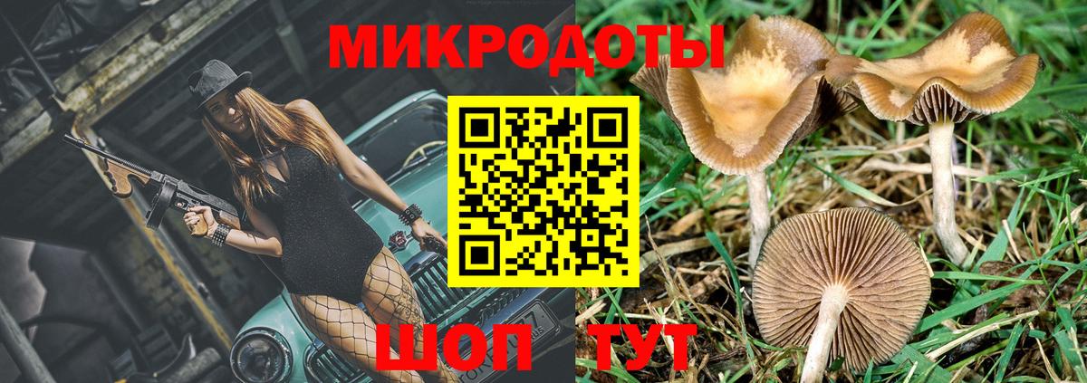 Елабуга  Псилоцибиновые грибы GOLDEN TEACHER  Вход с VPN 
